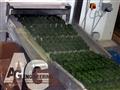Спиральные системы охлаждения, брожения, заморозки
